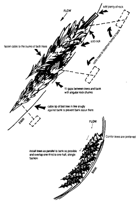 Streambank Stabilization Projects with Tree and Shrub Revetments