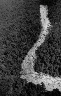 Debris Flow Chute
