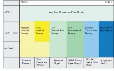 Density of Yellow Pine and Hemlock in the Southern Appalachian Mountains (based on Whittaker 1956).