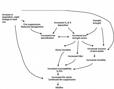 Diagram of factors contributing to forest susceptibility to wildfire