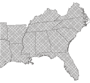 Common Snapping Turtle
