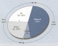 Soil Composition
