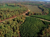 Stream Management Zones