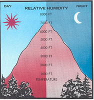 Relative Humidity