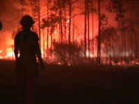 Volusia County, Florida Wildfire with Firefighter Profile