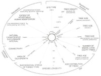Tyrell Model of Old-Growth Forests
