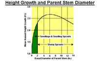 Height Growth and Parent Stem Diameter