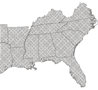 Common Snapping Turtle