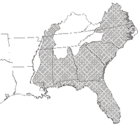 Eastern Ribbon Snake