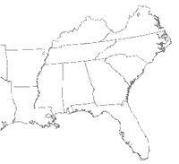 Shenandoah Salamander