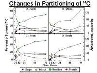 Changes in partitioning of 14C