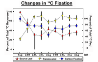 Changes in 14C Fixation