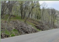 Remove Excess Fuels from Roadsides