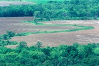 Landscape of Agricultural and Forested Land