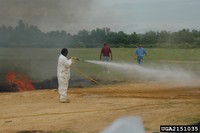 Sudden Oak Death Material Decontamination