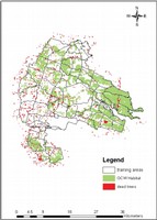 Photointerpreted polygons