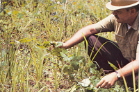 Improve Wildlife Habitat